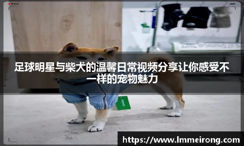 足球明星与柴犬的温馨日常视频分享让你感受不一样的宠物魅力